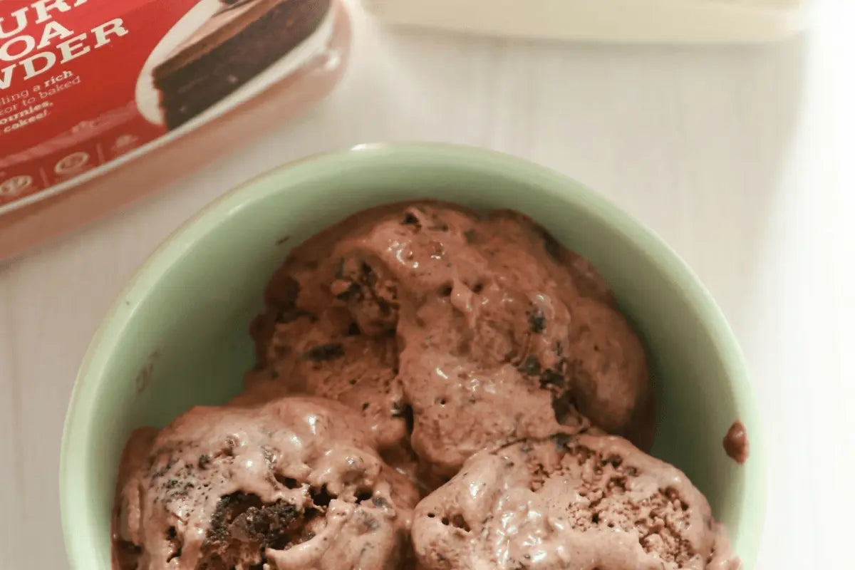 Homemade Chocolate Ice Cream