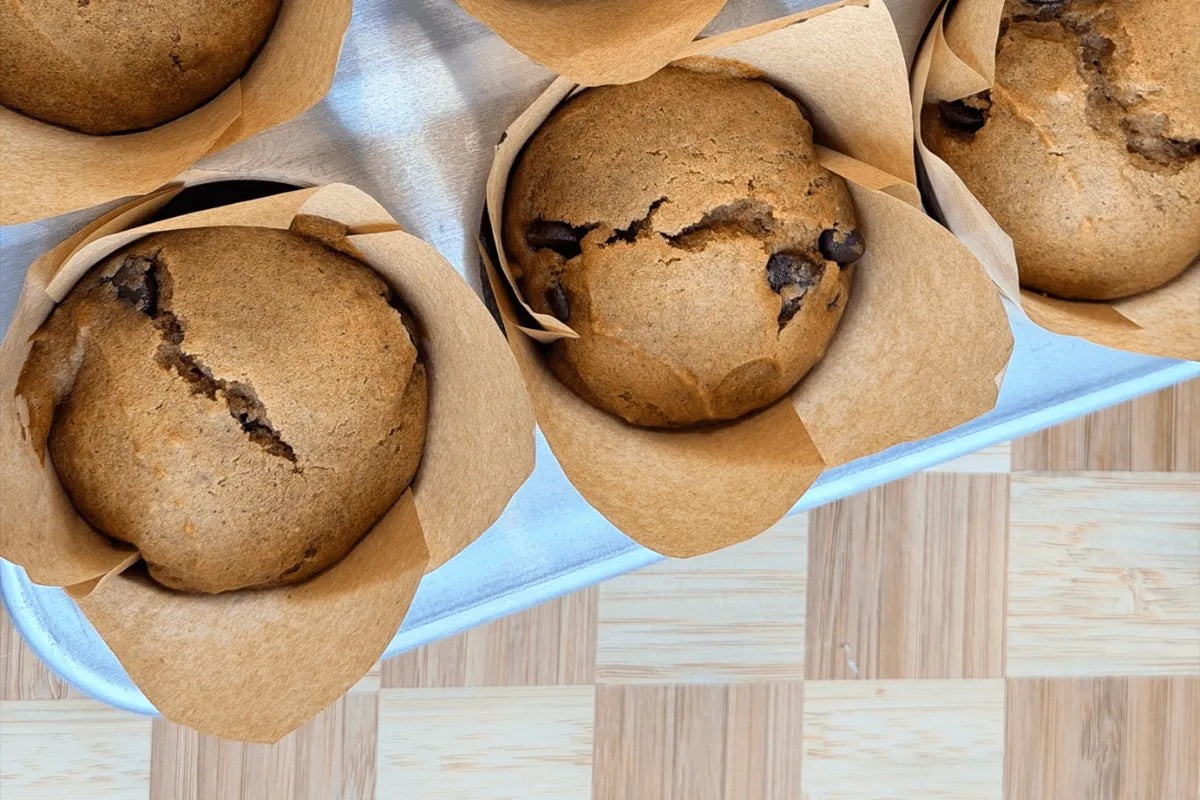 Moist chocolate chip pumpkin muffins with bakery-style domed tops, made with Hoosier Hill Farm Whole Milk Powder