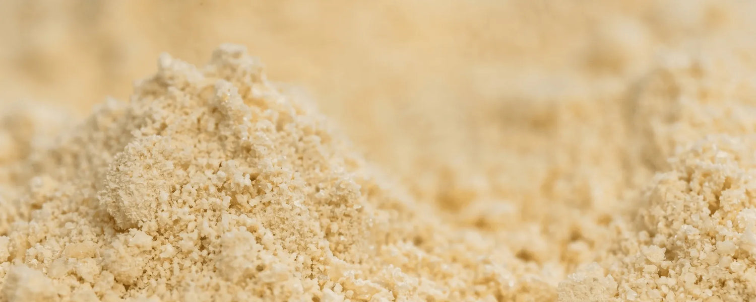 Your Egg Powder Guide