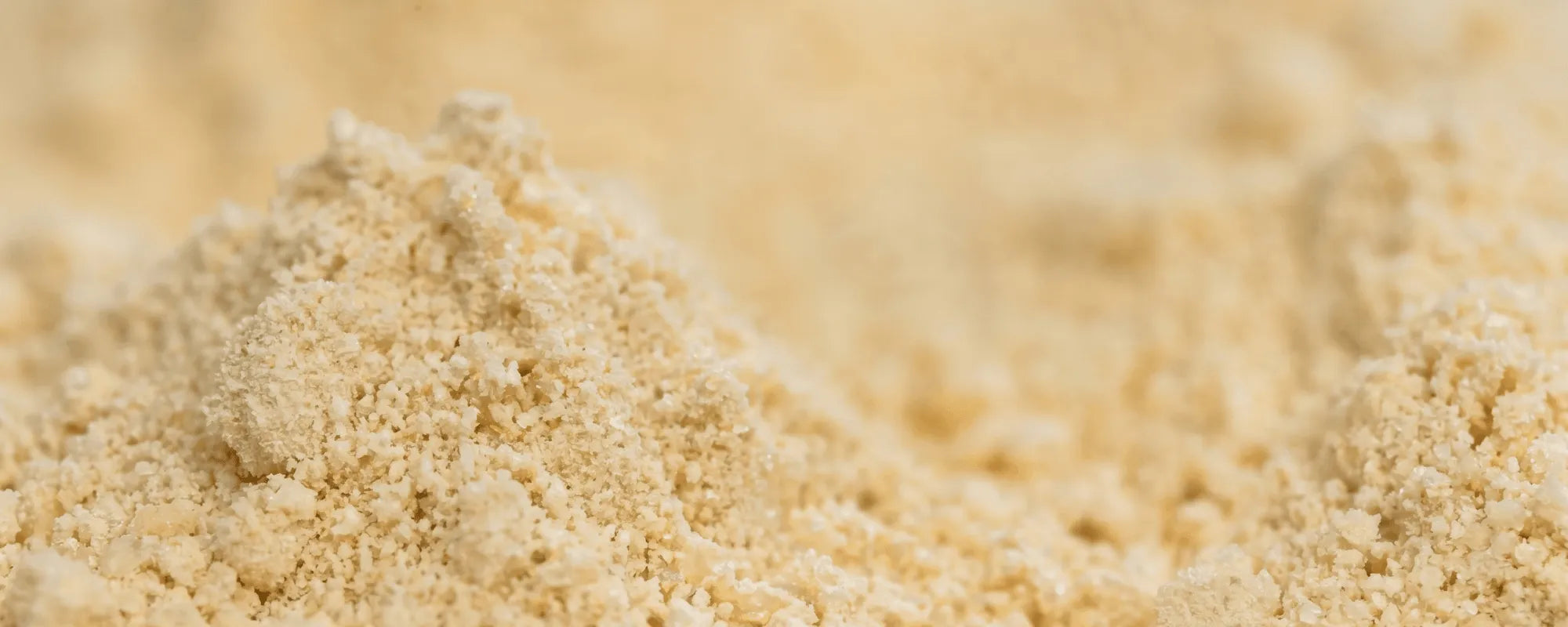 Your Egg Powder Guide