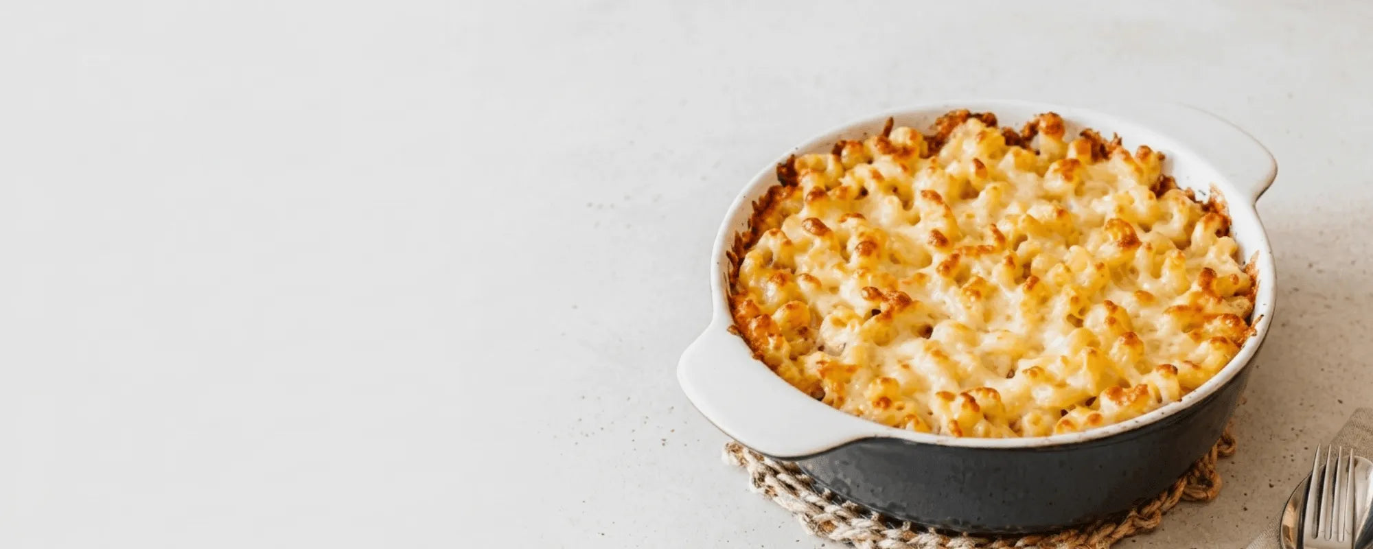 Milk & Cheese Powders
