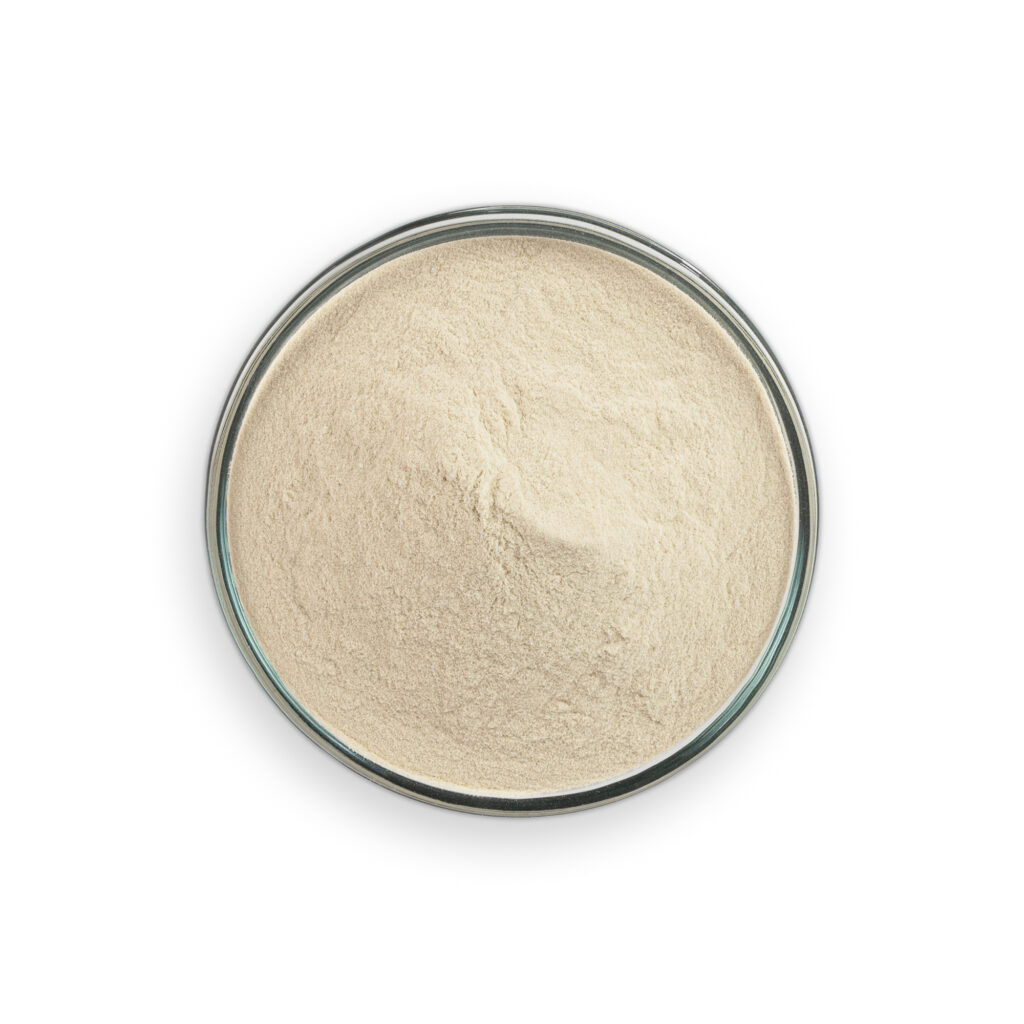 Agar Agar Powder