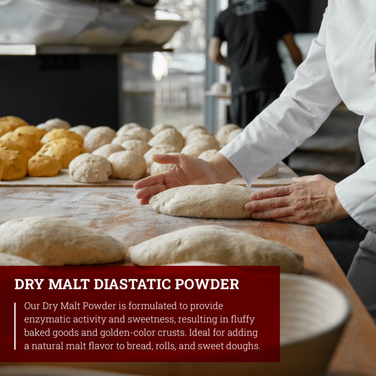 Dry Malt Diastatic Powder