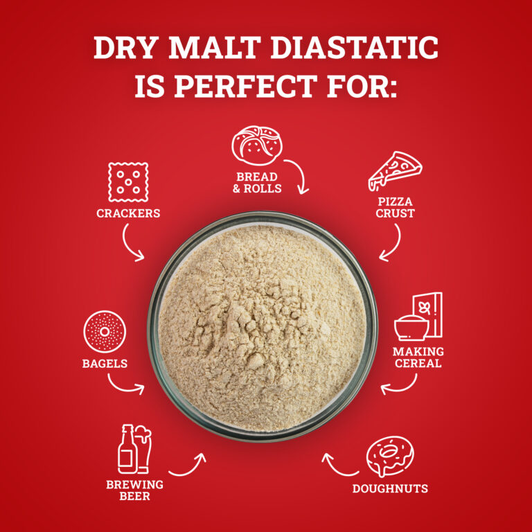 Dry Malt Diastatic Powder