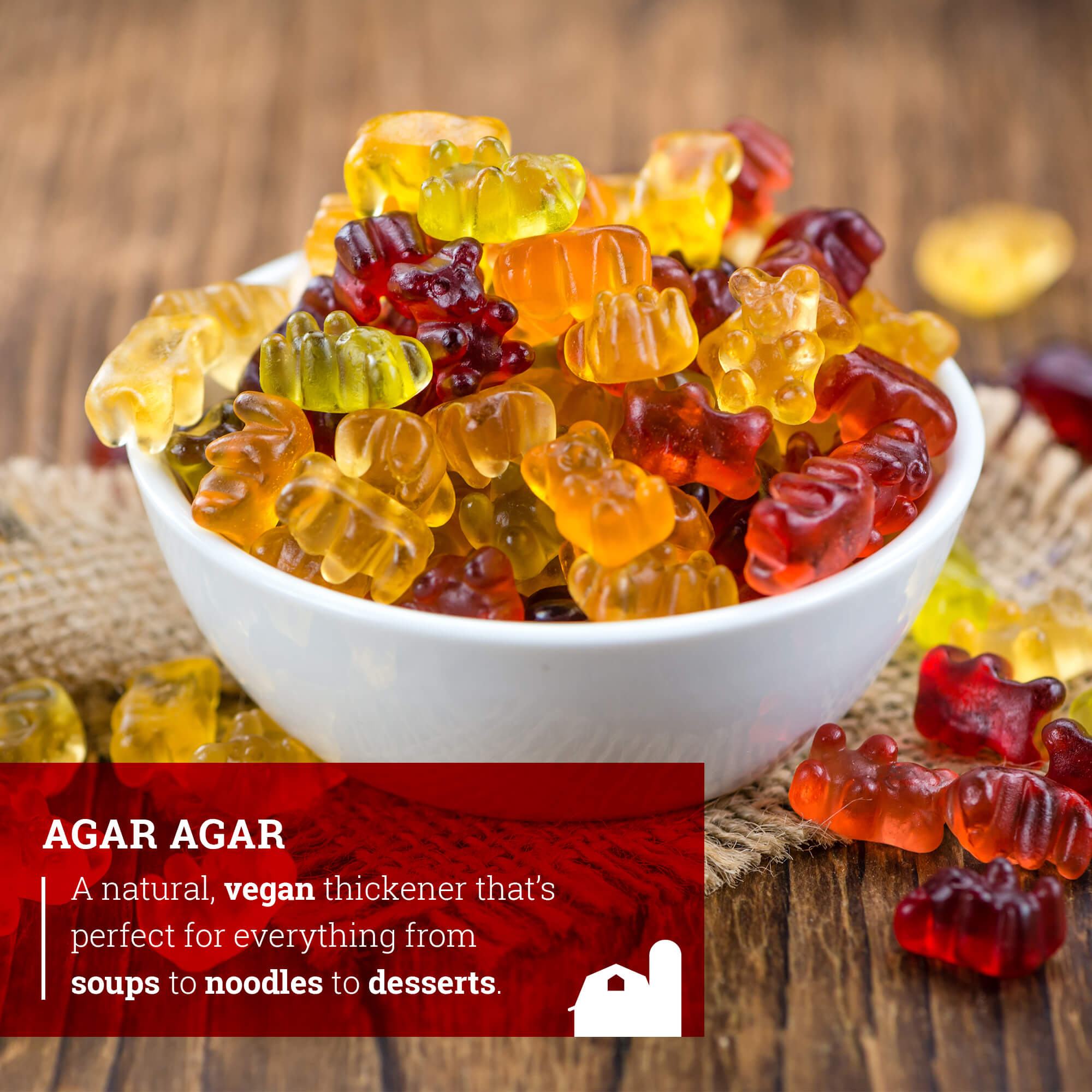 Agar Agar Powder