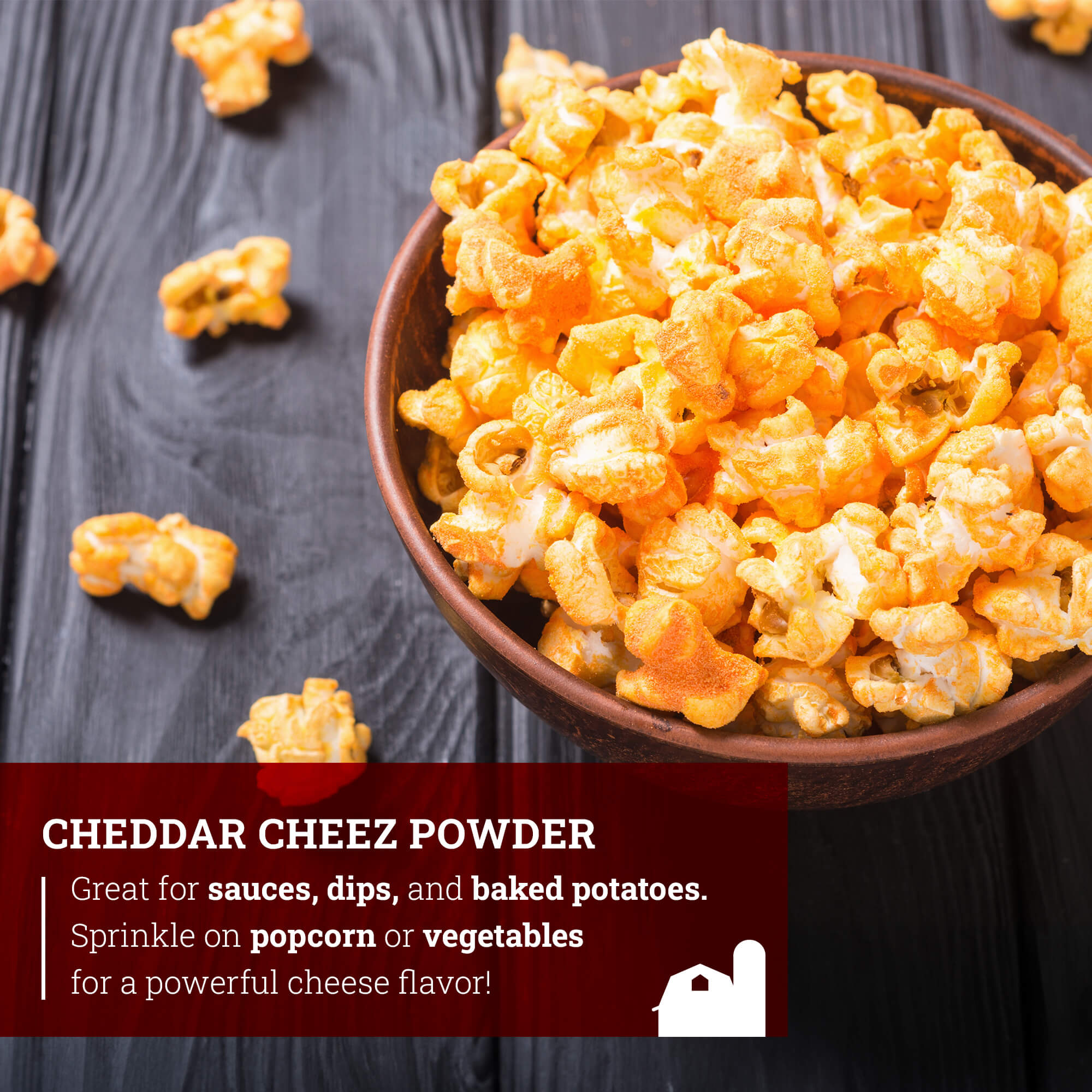 Cheddar Cheez Powder