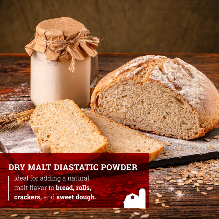 Dry Malt Diastatic Powder