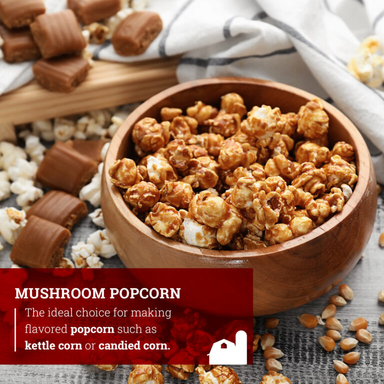Gourmet Mushroom Popcorn