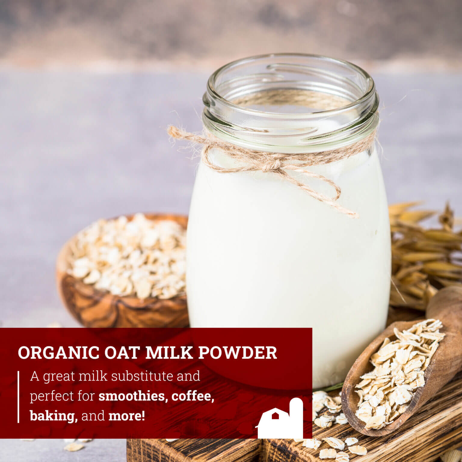 Organic Oat Milk Powder