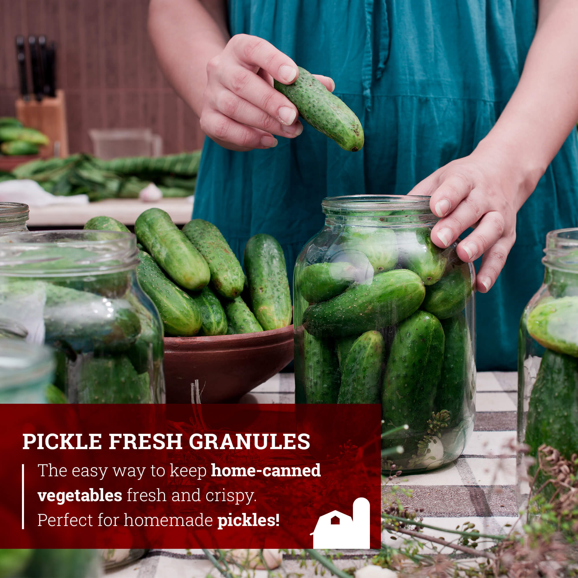 Pickle Fresh Granules
