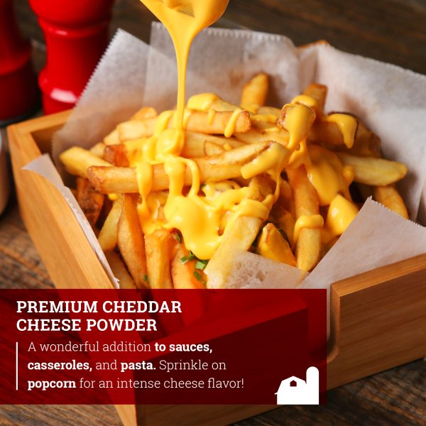 Premium Cheddar Cheese Powder (No Artificial Color)